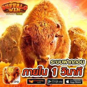 popwinth slot